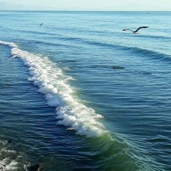 Foto dei Lettori - Le onde sulla nostra riva